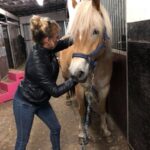 paarden massage janine landlust
